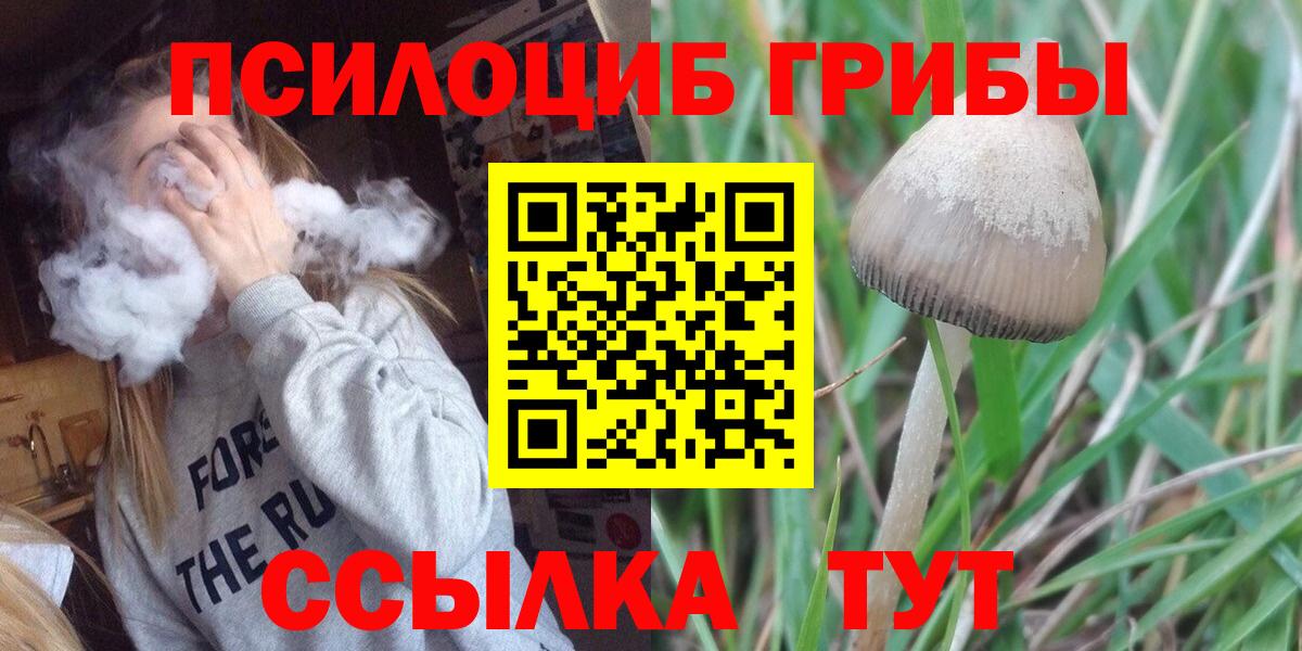 Галлюциногенные грибы мицелий  Вход с VPN  Владикавказ  Псилоцибиновые грибы Cubensis 