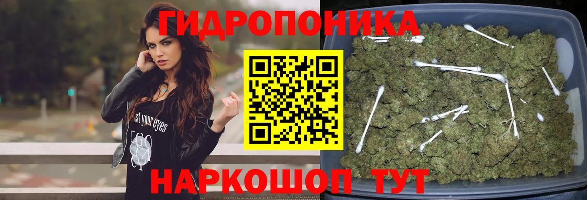 Каннабис планчик  Канабис планчик  Каннабис тримм  Вход с VPN  Шишки марихуана SATIVA & INDICA  Владикавказ 